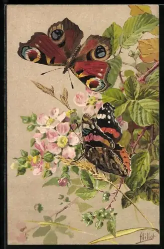 Künstler-AK Pfauenauge und Admiral, Schmetterlinge