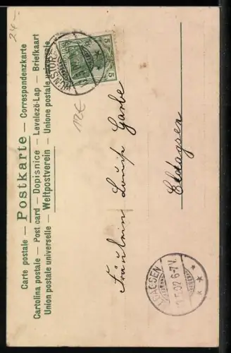 AK Schmetterling auf weissen Lilien