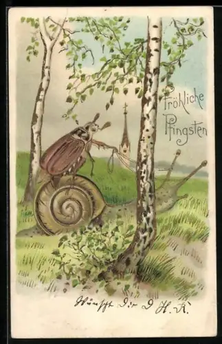 AK Maikäfer reitet auf Schnecke, Pfingstgruss