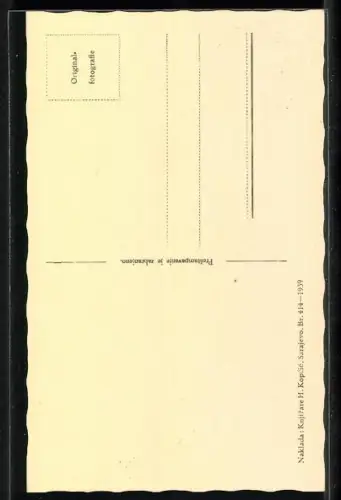 AK Sarajewo, Alipascha`s Moschee / Alipasina dzamija