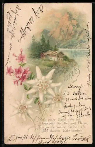 Lithographie Edelweiss mit einer Berghütte