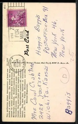 AK Hot Springs, AR, The Clucking Clerk, Postcards 10c