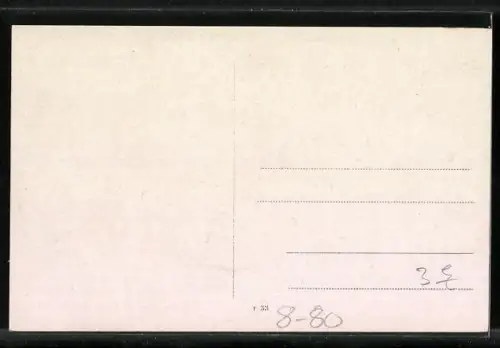 AK Dressierte weisse Tauben