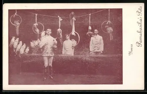 AK Pamahasikas Pets, Papageien-Dressur