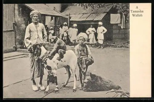 AK Tamasha Wallah, dressierter Affe