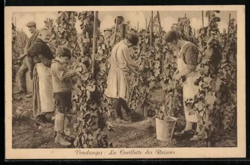 AK La Moselle, Les vendanges en automne, Winzer im Herbst