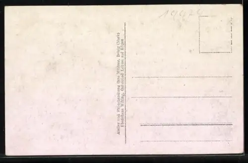 AK Wiesenburg /Mark, Schloss Wiesenburg, Waffensammlung