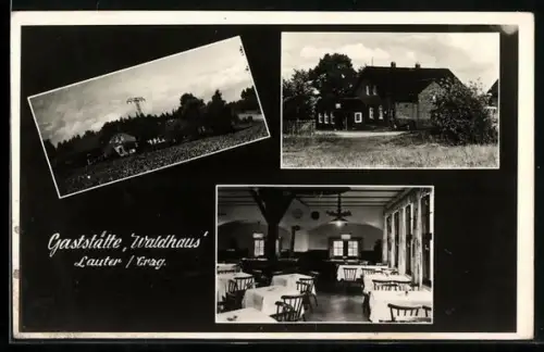 AK Lauter i. Erzgeb., Gasthaus Waldhaus, Aussen- u. Innenansicht