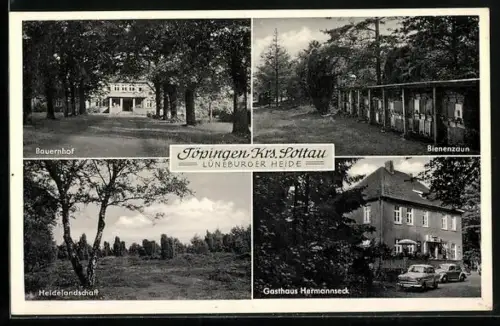 AK Töpingen / Lüneburger Heide, Bauernhof, Heidelandschaft, Gasthaus Hermannseck