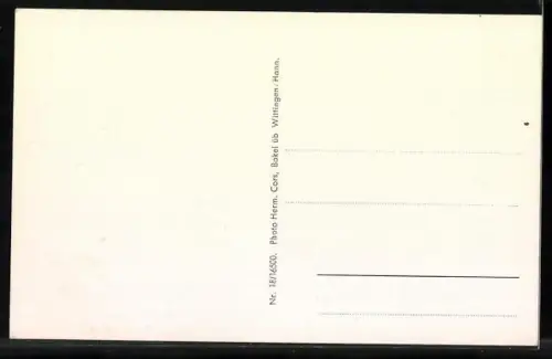 AK Töpingen / Lüneburger Heide, Bauernhof, Heidelandschaft, Gasthaus Hermannseck