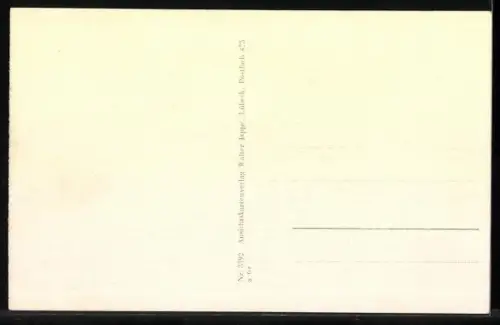 AK Tewel /Lüneburger Heide, Gasthaus H. Lemmermann, Partie Mehlandsbach, Rutenmühlenteich, Getreidespeicher