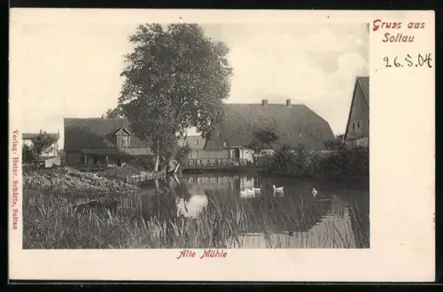 AK Soltau, Alte Mühle mit Wasserpartie
