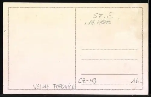 AK Velke Popovice, Pivovar Firmy F. Ringhoffer