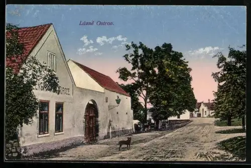 AK Lazne Ostrov, Panorama