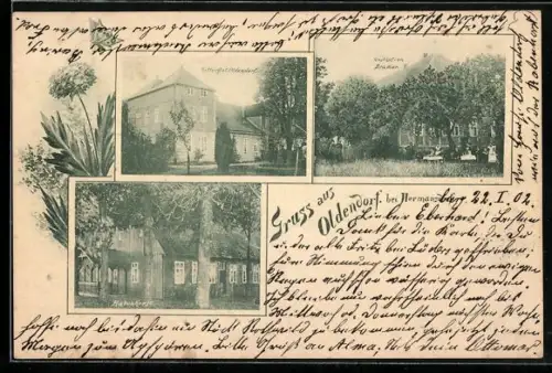 AK Oldendorf b. Hermannsburg, Gasthof Bramer, Rabenhorst, Rittergut