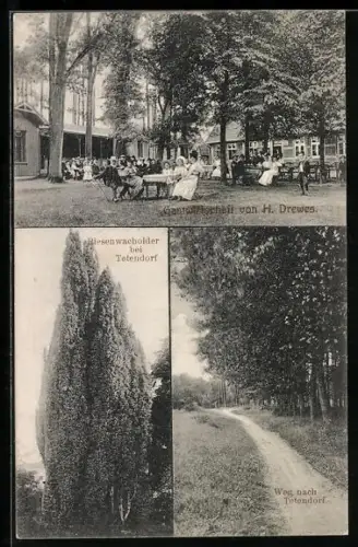 AK Tetendorf, Gasthaus von H. Drewes, Riesenwacholder, Weg zum Ort