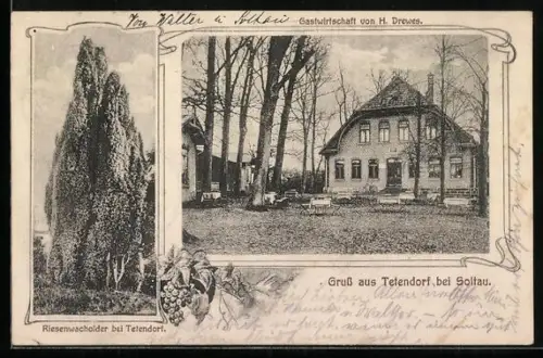 AK Tetendorf bei Soltau, Gasthaus von H. Drewes, Riesenwacholder