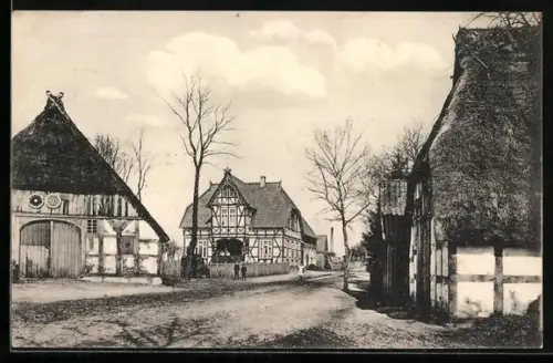 AK Tewel im Lüneburgischen, Strassenpartie mit Fachwerkhäusern