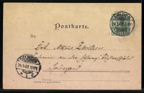 Lithographie Ahlden, Schloss, Gasthaus v. Aug. Asche, Ortspartie