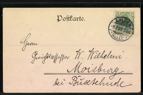 AK Ahlden, Schloss, Gasthaus Th. Meyer, Sophie Dorothée Prinzessin