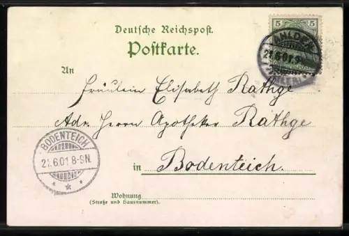 Lithographie Ahlden a. Aller, Schloss Ahlden, Kirche, Wappen am Schlosse Ahlden