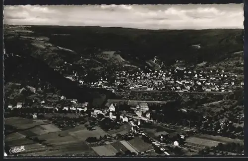 AK Nassau-Bergnassau /Lahn, Vogelschau auf den Ort mit Stammburg