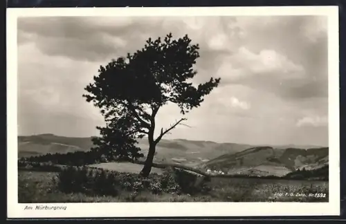 AK Nürburg, Panorama mit Nürburgring