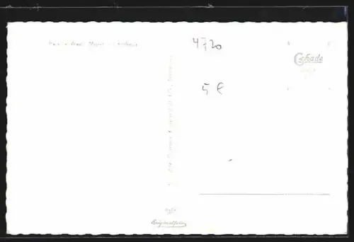 AK Beckum /Westf., Markt mit Rathaus u. Geschäft Th. Thopp u. Ratsklause