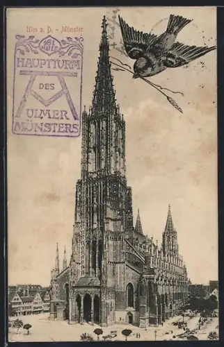 AK Ulm a. D., Münster, Fliegender Spatz