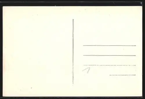 AK Lille, Place Richebé