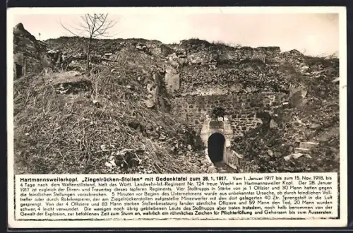 AK Vieil Armand, Panorama