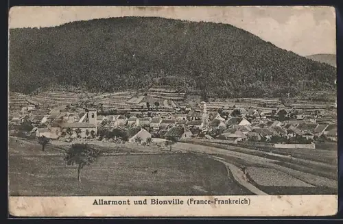 AK Allarmont /Bionville, Panorama