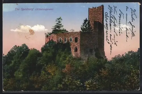AK Mittelvogesen, Blick auf die Ruine Spesburg