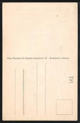 AK Allarmont, Vue générale