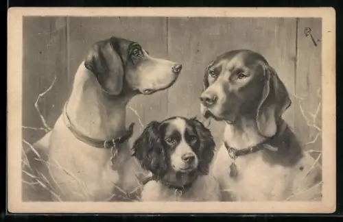 Künstler-AK C.Reichert: Portrait drei Hunde