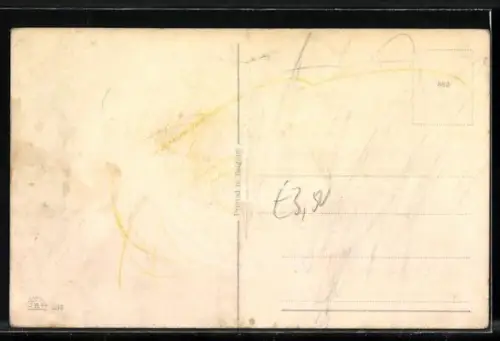 AK Douceur et Violence, les Extremes vont-ils se toucher?, Spielzeuglamm vor einem Hund im Auto