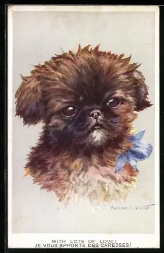 Künstler-AK Florence E. Valter: Kleiner Hund mit blauer Schleife