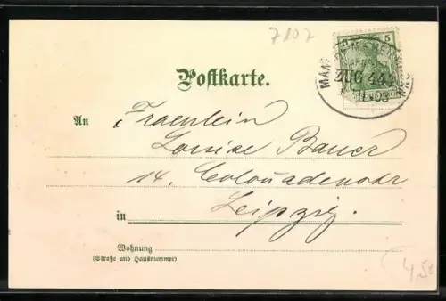 Lithographie Wimpfen a. N., Ansicht von Wimpfen am Berg, Jagstfeld