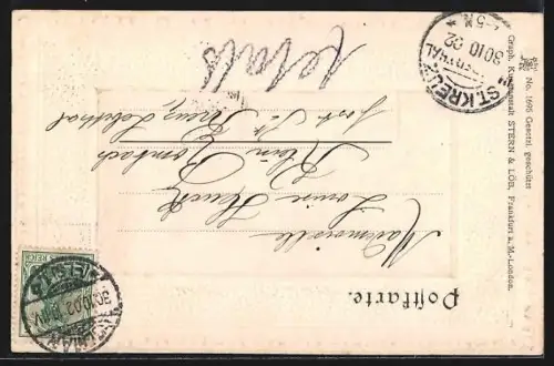 AK Colmar, Totalansicht aus der Vogelschau, Ornament-Rahmen