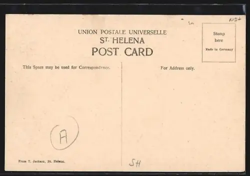 AK St. Helena, Vegetable Market