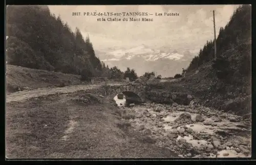 AK Praz-de-Lys-sur-Taninges, Les Pontets et la Chaîne du Mont Blanc