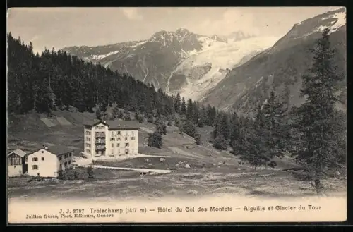 AK Trélechamp, Hôtel du Col des Montets, Aiguille et Glacier du Tour