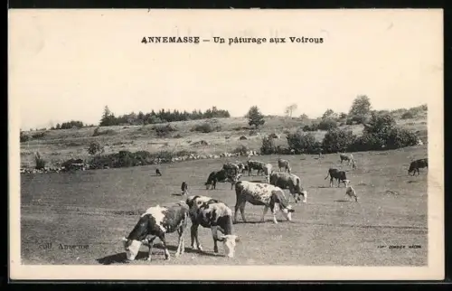 AK Annemasse, Un pâturage aux Voirous