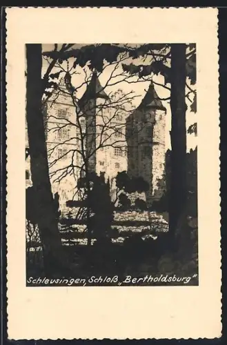 AK Schleusingen, Schloss Bertholdsburg mit umgebender Natur