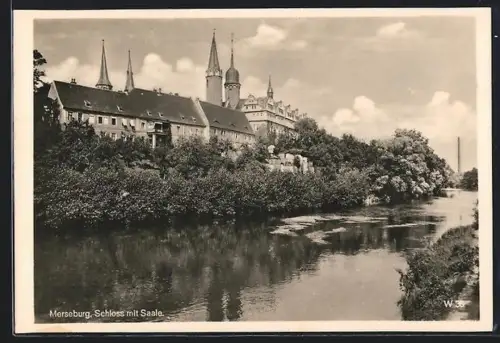 AK Merseburg, Schloss mit Saalepartie und Grünanlagen