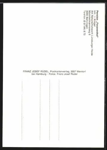 AK Behringen /Lüneburger Heide, Pension Fasanenhof, Inh. I. Kröger, Aussenperspektiven