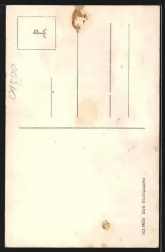 AK Potsdam, Nikolaikirche u. Obelisk