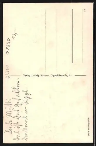 AK Dippoldiswalde /Osterzgeb., Hindenburgpark mit Kirche im Hintergrund