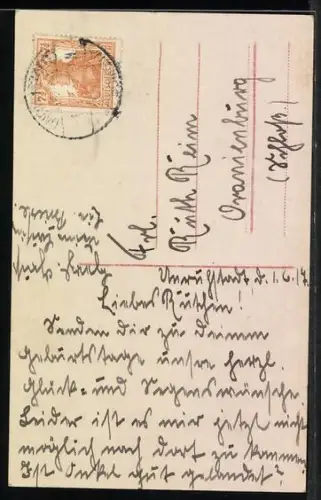 Foto-AK Amag Nr. 61647/1: Fräulein mit Katze auf dem Arm