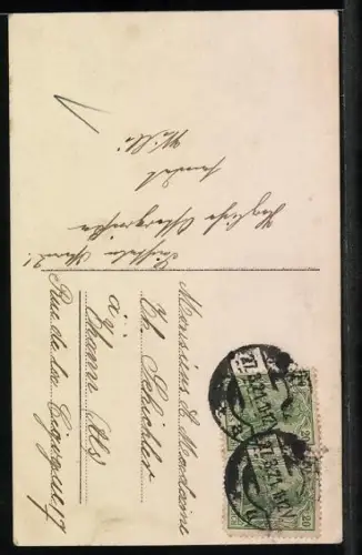 Foto-AK Amag Nr. 62402/4: Kleiner Junge mit Zweigen, Ostergruss